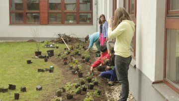 Úprava školních pozemků - 28.10.2014