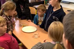 Máme talíř, sklenici vody a skittles. Co s tím uděláme?