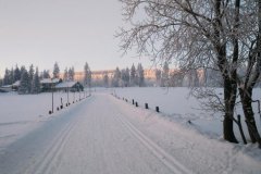 Zprávy z bílé stopy. 
Dobrý člověk musí být hlavně dobrý běžkař.
