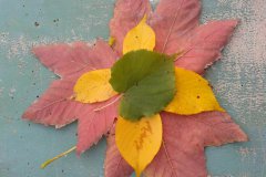 landart