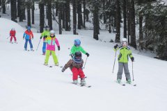 - 3°C, 4 cm čerstvého sněhu, ideální rozptylové podmínky, tlak a rosný bod v normě.