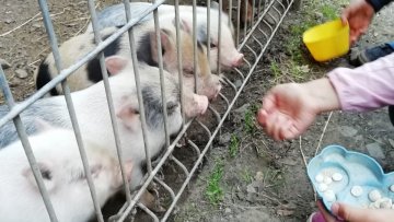Třídní rozlučkový piknik Na tý louce zelený
