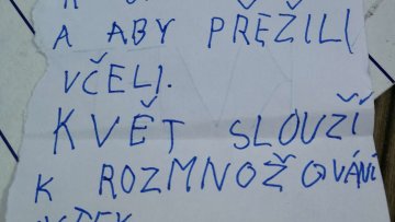 Poznáváme části rostlin