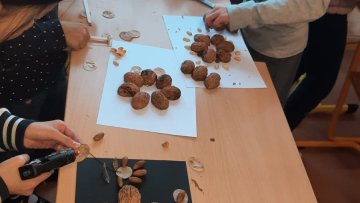 Muzikanti v listopadu 2025