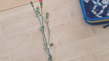 Rozloučení s Terezkou