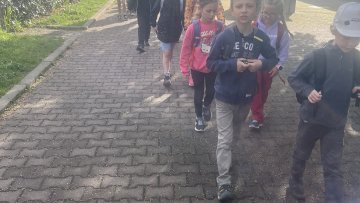 Za mláďaty  do Toulcova dvora