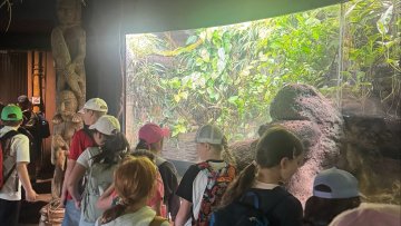 Týden sportů a turistiky