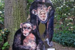 Opice v zoo