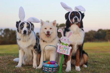 Happy Easter!