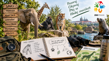 Příprava na výpravu za savci do Zoo Praha