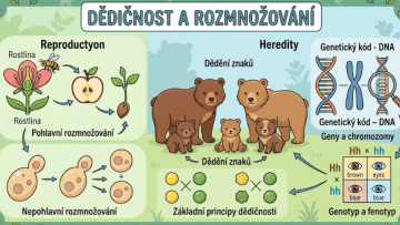 Dědičnost a rozmnožování