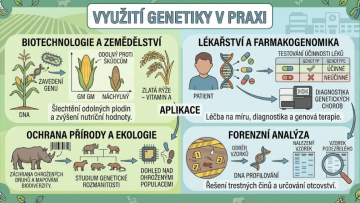 Využití genetiky v praxi