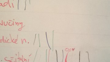 Co chceme procvičovat v matematice?