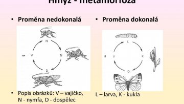 Týdenní úkol Př 6. - 17.4. (6.r.)