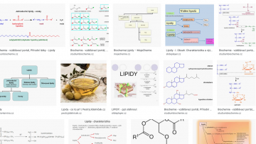 9.AB "lipidy"