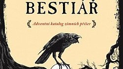 Vánoční literatura